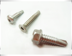 katsuhanan-STAINLESS STEEL SCREW-3